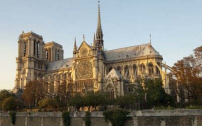 Parfois les arbres vont aussi au ciel