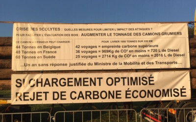 Les revendications des acteurs de la filière forêt-bois