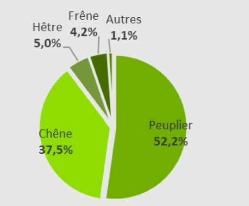 Consommation de bois rond par essence dans les scieries feuillues belges en 2020 (total : 217.000 m³/an)