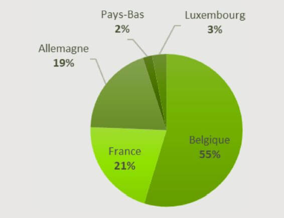 Provenance du bois rond résineux utilisé dans les scieries en Belgique en 2020