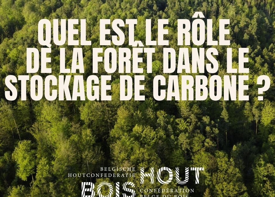 Quid du rôle de la forêt dans le stockage de carbone ?