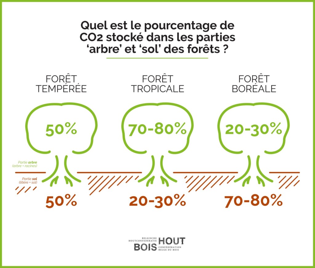 Quelle est le pourcentage de carbone stocké dans les parties 'arbre' et 'sol' des forêts?