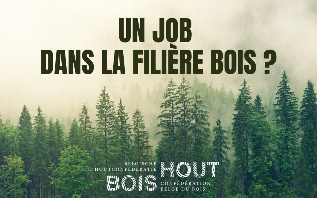 Un job dans la filière bois ?