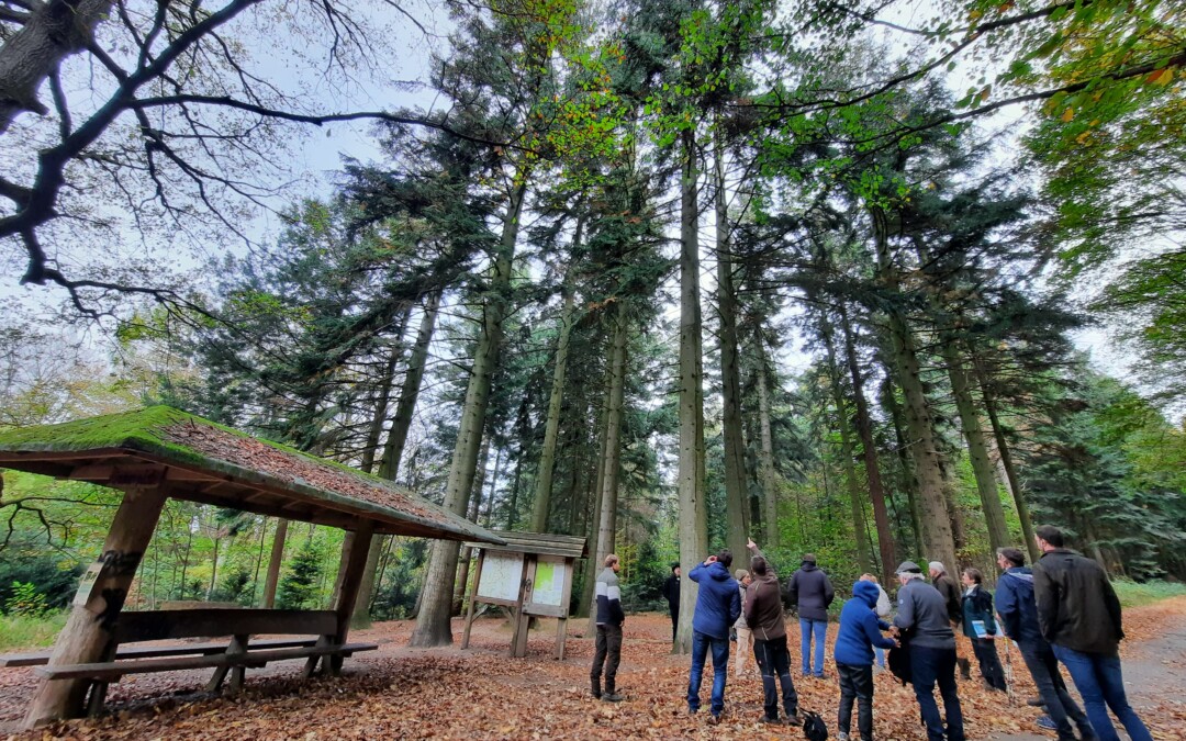 Excursion des entrepreneurs de travaux forestiers (UETFW) en Allemagne