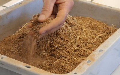 Comment mieux valoriser les écorces d’arbres ?