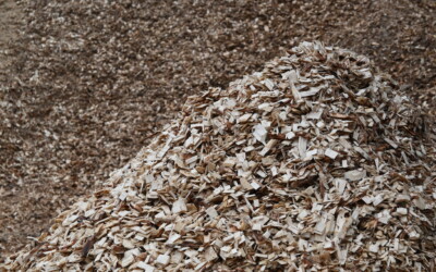 ‘Position paper’ de la Confédération Belge du Bois sur le Règlement européen EUDR