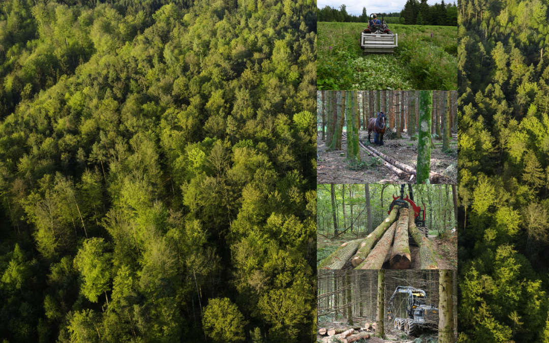 FAQ sur les aides à l&rsquo;investissement de la PAC pour le secteur forestier