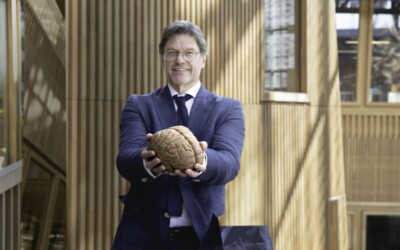 Le bois a un impact positif sur notre cerveau et notre bien-être